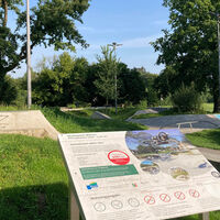 Skatepark in den Almeauen | Büren