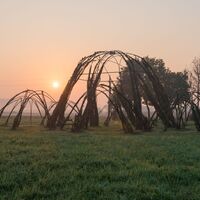Weidenbau im Thermenpark Bad Blumau
