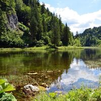 Wiesensee - Hochfilzen