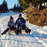 Rodelspass auf der Saualpe