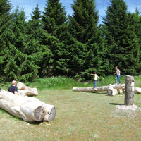Baumstämme Zwergenpfad Frauenwald