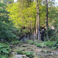 L3 Rinnerberger Trail