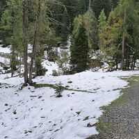 1.3 km Optionaler Abkürzer