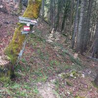 Beginn Danzersteig