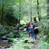 Am Ziegelbach