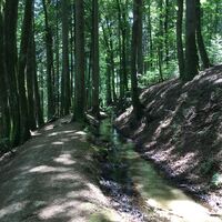 Zum Höllbachfall im Hotzenwald