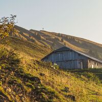 Stongerhöhe mit Winterstaude