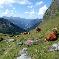 Der Abstieg durch das Kreekar in das Großarltal.