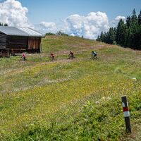 Unterhalb von Cuolm Sura gehts über Wiesen und später durch Bergwälder nach Ilanz