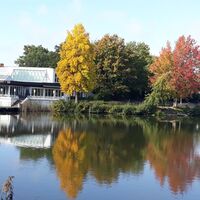 Herbst am Seecafé / Emssee Wiedenbrück