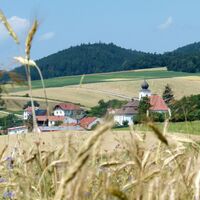 Blick auf Hollenthon (Copyright: Karl Gradwohl)