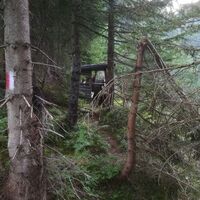Über den alpinen Steig geht es weiter