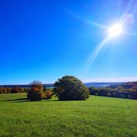 Unterwegs auf der Wanderung Bliesgau Blicke