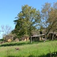 12 hameau toit de lauze