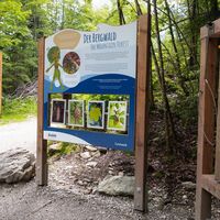 Infotafel Bergwald Geisterklamm