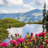 Wildschönau Baumgartenalm Lacke