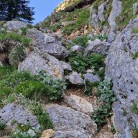 Erste Stelle mit Drahtseil