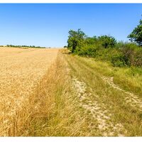 Chemin du Pastel