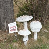 Pilzbskulptur am Packer Naturlehrpfad