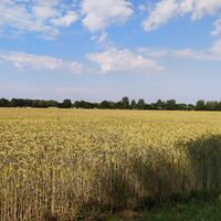 Radrundweg R 18 Herzebrock-Clarholz