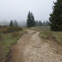 Aufstieg zum Gipfel Monte Roen