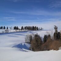 Ausblick in Gschaid_Naturpark Almenland_Oststeiermark