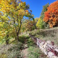 Im Orchideengebiet unterwegs auf der Wanderung Bliesgau Blicke