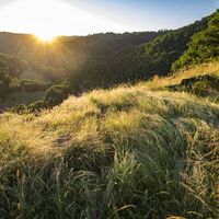 Naturschutzgebiet Mittagsfels