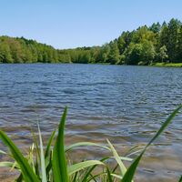 Glashütter Weiher