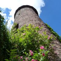 Diebsturm Neubulach_2