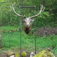 Skulpturenpark Claut