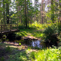 Ibacher Moor