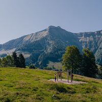 Hangelleiter mit traumhaften Blick auf den Schmittenstein!