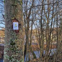 Am Bestwiger BestWeg Nuttlar