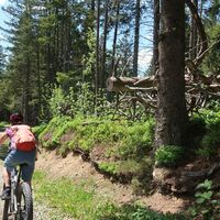 Schüpfenfluh - Gantrisch Bike-Panoramaweg