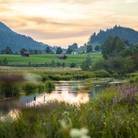 Das Moor in der Dämmerung