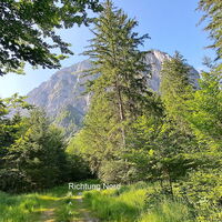 Forstweg im Seeboden Richtung Nord