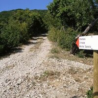 Der Hohlweg