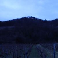 Rossatz Blick nach oben zum Mugler