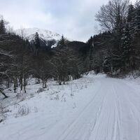 Im Rotsohlgraben mit Blick auf die Hohe Veitsch