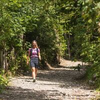 Wanderung auf dem WM-Pfad Planai