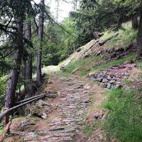 Maultierweg