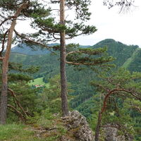 Roter Berg