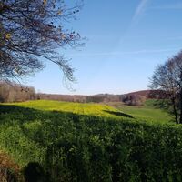 Sonneborn, Plettenberg