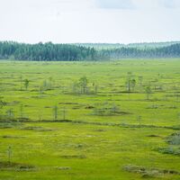 Blick vom Aussichtsturm Kesonsuo