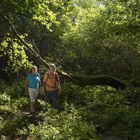 Auf der Traumschleife Oppig-Grät-Weg