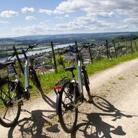 e-bike-aussicht-weinwanderweg-döttingen