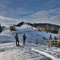 Schneeschuhwanderung Tyrnaueralm_Naturpark Almenland_Oststeiermark