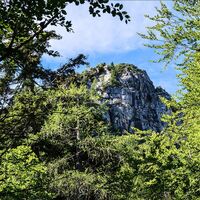 Blick hinauf