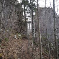 Rinnende Mauer Trail - Molln (lang)